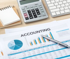 Accounting documents with charts, a pen, calculator, notepad, plant, and keyboard on a wooden desk.